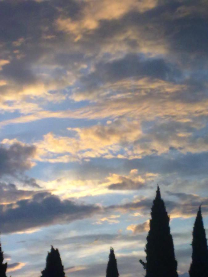 Residenza Al Sogno - On Lake Garda Cavaion Veronese Dış mekan fotoğraf