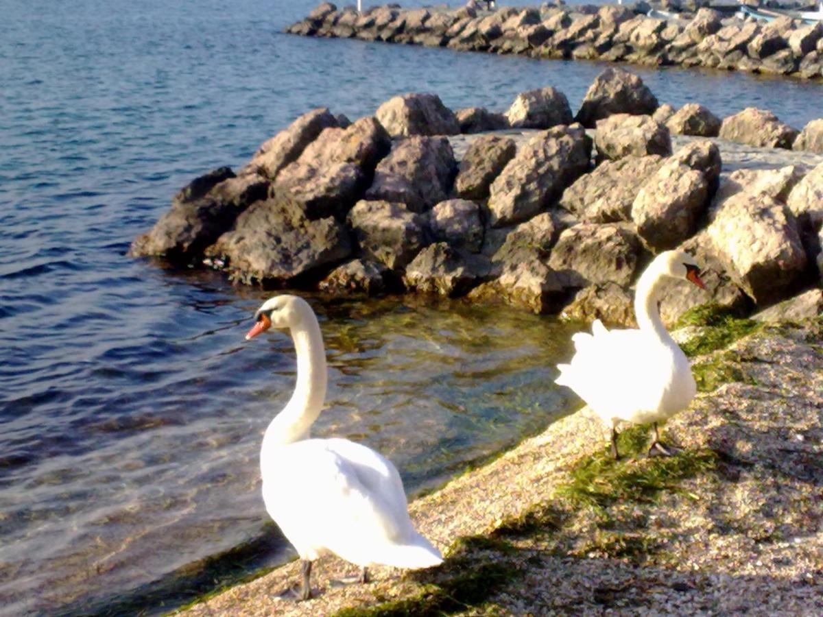Residenza Al Sogno - On Lake Garda Cavaion Veronese Dış mekan fotoğraf